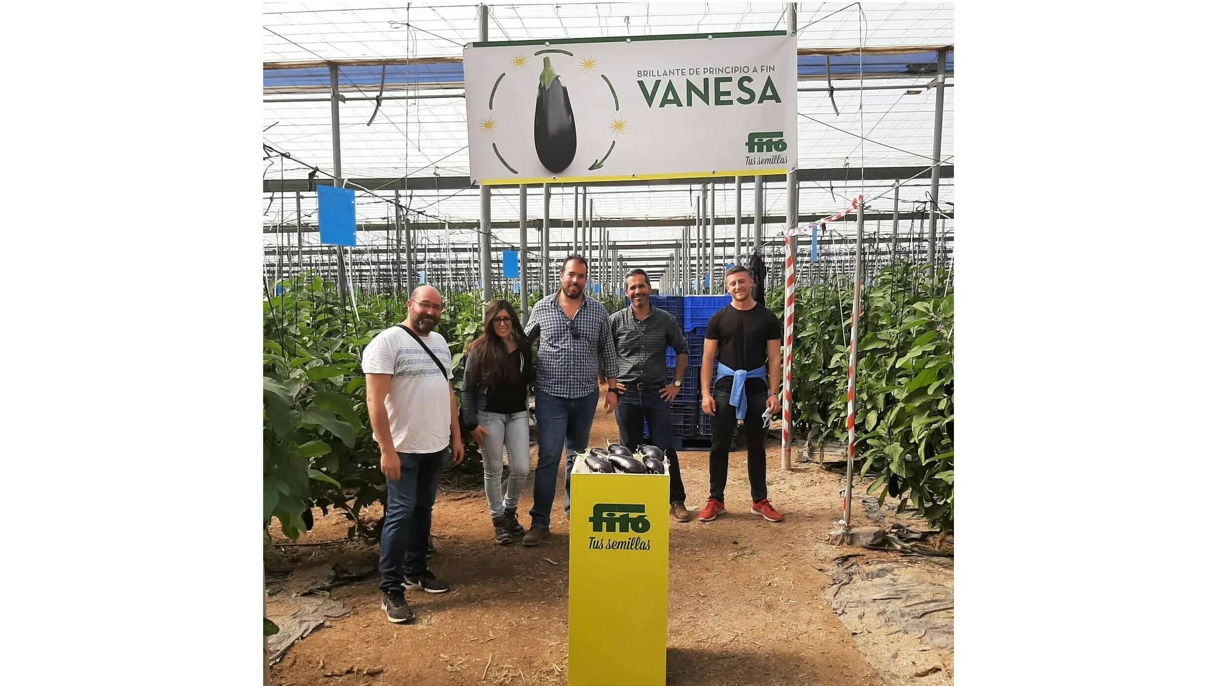 fito-berenjena-vanesa|IMG_20220216_100334